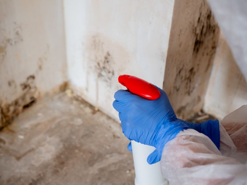 Mold Prevention Measures