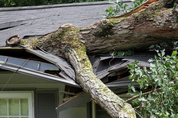 Storm Remediation in Cincinnati