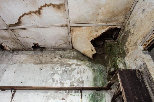 Water Damage Service in Cincinnati