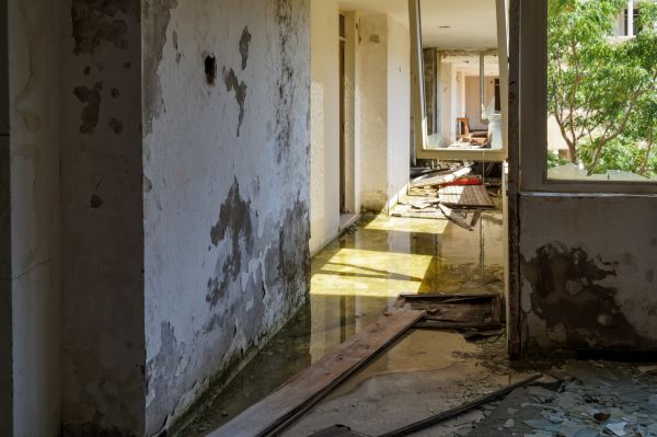 Cost of Water Removal Service in Cincinnati